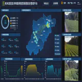 Observing the Smartification of the Chinese Tea Industry: Intelligentization in Tea Cultivation