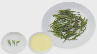 What is White Tea? Meaning, Types, and Varieties Explained