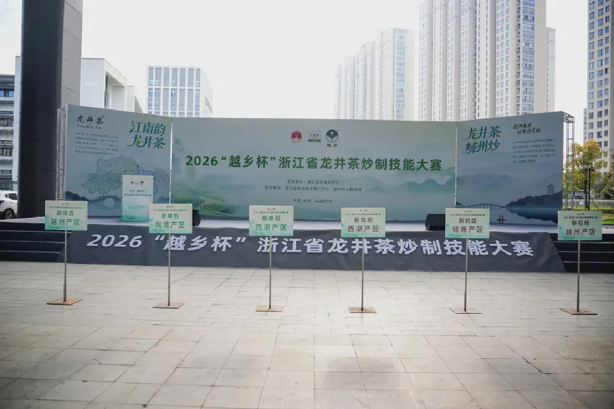 Old and New Artisans Compete on the Same Stage, Demonstrating the Aroma of Longjing Tea at Its Peak!