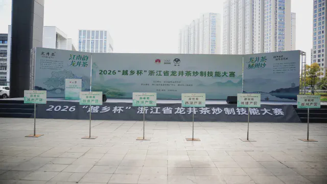 Old and New Artisans Compete on the Same Stage, Demonstrating the Aroma of Longjing Tea at Its Peak!