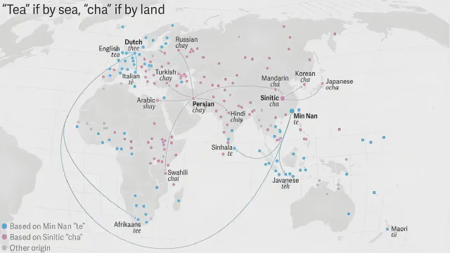 The Origins of Tea Cultivation Worldwide