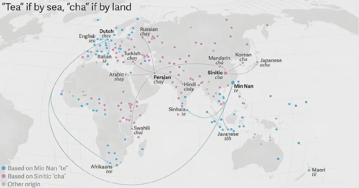 The Origins of Tea Cultivation Worldwide